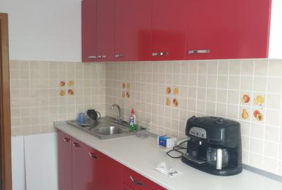 Apartament cu 3 camere semidecomandat, mobilat în Banu Manta - 11