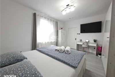 Casă cu 1 camere cu Teren 154 Mp în Lazaret - 16