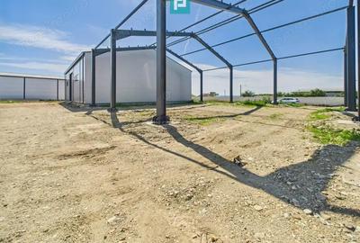 Hala industriala in zona Giarmata Timi? - 6