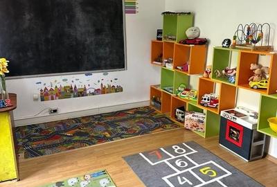 SPATIU COMERCIAL DOMENII, LOC PARCARE, CENTRALA, MOBILAT/UTILAT, CURTE - 1