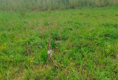 Vand teren intravilan in zona Selgros - 3