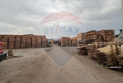 Spațiu industrial, de 7,756 mp, în Cerăt - 2