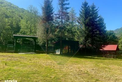 Casă cu Teren 2362 Mp în Tulnici - 10