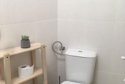 Apartament cu 2 camere, mobilat în Camil Ressu - 8