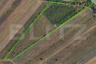 Teren de 24712 mp, în Central - 3