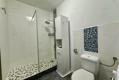 2 camere |  Terasa 27 mp | Parcare Subteran |  Cetatii-Floresti - 9
