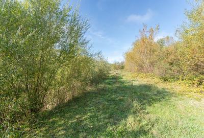 Proprietate rara in Covasna - liniste, spatiu si potential de investitie - 46