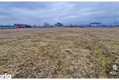 Teren de 2300 mp, în Sânpetru - 5