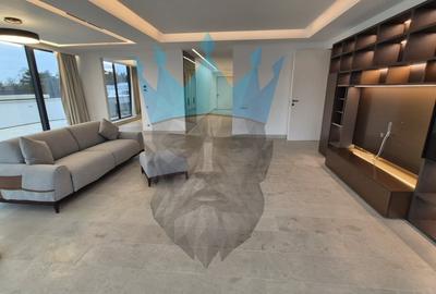 Penthouse 4 Camere Kiseleff Bucuresti - 5