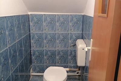 Spațiu comercial, de 150 mp, în Vest - 12