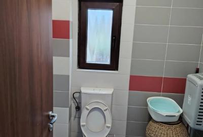 Apartament cu 3 camere decomandat în Grigorescu - 9