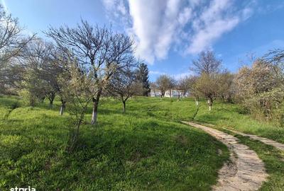 Casă cu 4 camere în Scorțeni - 14
