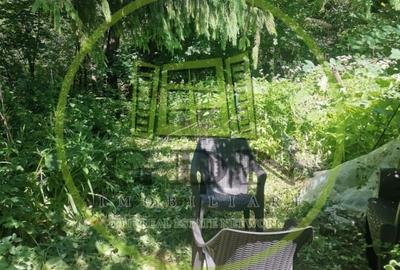 Apartament cu 2 camere decomandat, mobilat în Orizont - 19