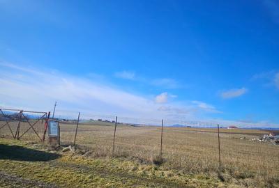 Teren intravilan - Halchiu, construire locuinte individuale - 6