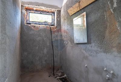 Vanzare duplex P+1+2 retras - 33