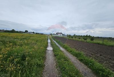 Teren Construcții intravilan de 1495 mp, în Dobreni - 19