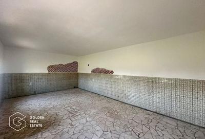 Teren intravilan 71.000mp, Barsa, Renumita Fabrica de caramida si casa 4 camere - 8