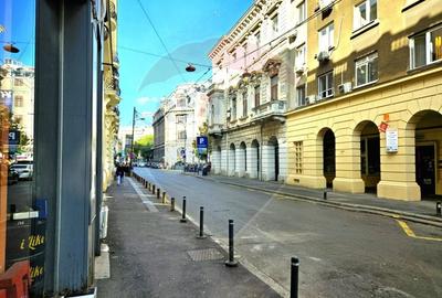 Casa 15 camere de vanzare zona Universitate + spatiu comercial parter - 3