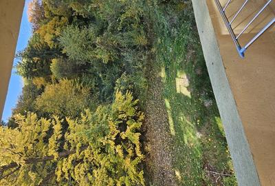 Apartament cu 3 camere decomandat în Căciulata - 5