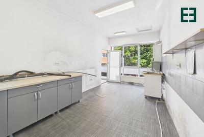 Birouri luminoase și spațioase - Calea Sever Bocu – Timișoara - 9