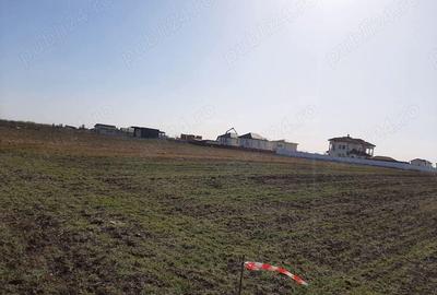 Teren de vanzare 4506mp str.Mierlei Tunari Ilfov - 4