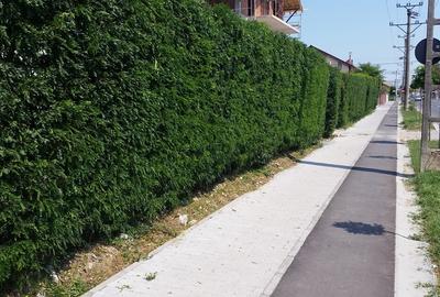 Proprietar, locuinta Calea Martirilor CU LOC PARCARE, langa LIDL - 5