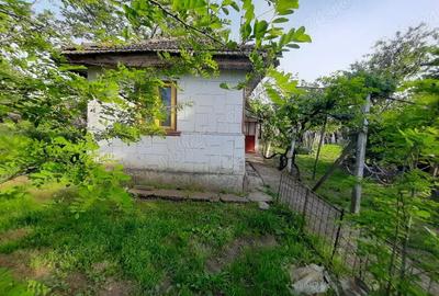 Casa batraneasca de vanzare - 2