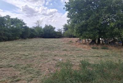 Spațiu comercial, în Cuza Vodă - 2