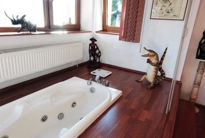 Apartament rustic, deosebit de 98 mp,  cu gradina, in Andrei Muresanu - 11