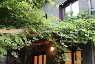 Casă cu 5 camere cu Teren 325 Mp în Floreasca - 4