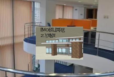 Birou, 290 mp în Cișmigiu - 13