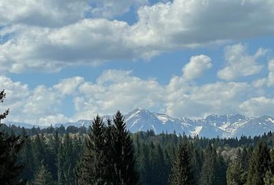 Apartament Premium | Grand Chalet | Poiana Brasov - 14