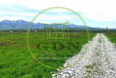 Terenuri extravilan  | 1000 mp, 2000 mp  | Valea Avrigului - 5