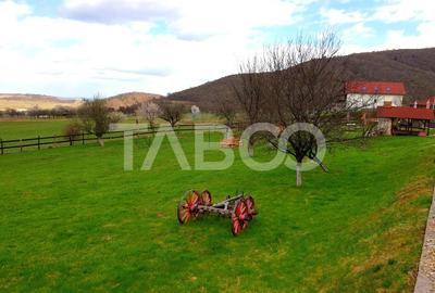 EXCLUSIVITATE - Casa 9 camere 615 mpu 9 bai 3600 mp teren in Fantanele - 3