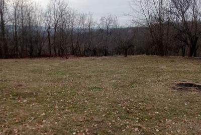 Teren de 3400 mp, în Tănăsești - 2