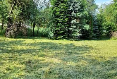 Casă cu 3 camere cu Teren 1440 Mp în Valcău de Jos - 4