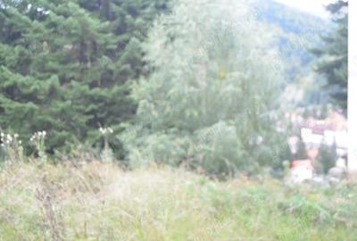 Teren în Valea Alba - 2