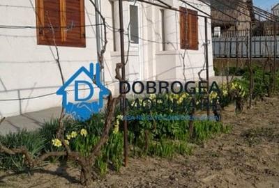Casă individuală cu 3 camere în Nufăru