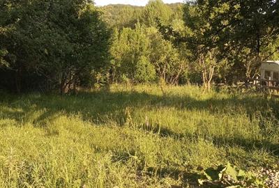 Teren de 864 mp, în Gurguiata - 8