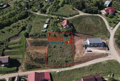 Oportunitate de Investiție: Teren Intravilan Construibil în Zona Mices - 1
