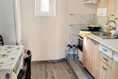 Casă cu 3 camere cu Teren 800 Mp în Gura Padinii - 9