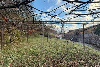 Casa 3 camere + teren 912mp zona Caraiman - 35