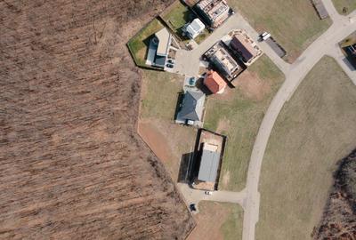 Teren de vis în Dumbrava Vlăsiei – 1290 mp, la marginea pădurii mature - 6