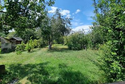 Casă cu 3 camere cu Teren 1100 Mp în Jibou - 2