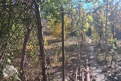 Casa Mehala Timi?oara - 15