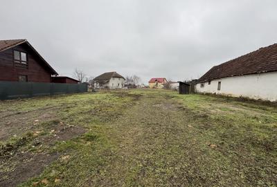 Teren Intravilan Becicherecu Mic 750mp,Utilitatile In Fata Parcelei,Asflat - 4