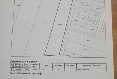 Teren de 7400 mp, în Bucovăț (Remetea Mare) - 2