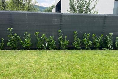 Casă individuală cu 4 camere cu Teren 485 Mp în Făget - 13