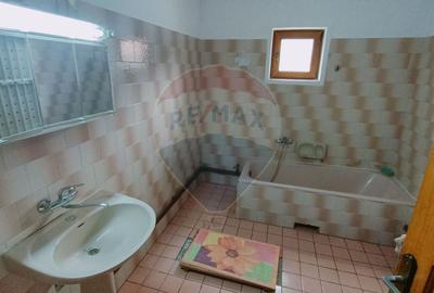 CASA + Casuta - DE VANZARE in Baia Sprie - 11
