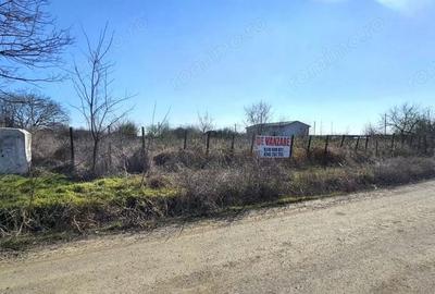 Teren de 2300 mp, în Vânători - 8